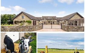 Cottage With Panoramic Views