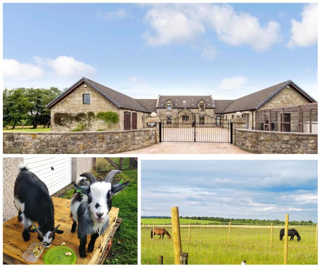 Cottage With Panoramic Views Kirk of Shotts Exterior foto